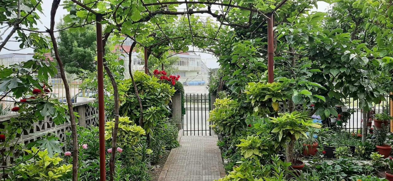 Family House Primorsko Apartment ภายนอก รูปภาพ